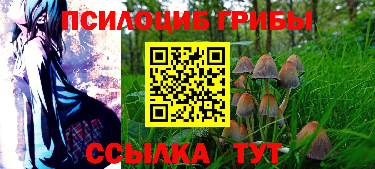 Псилоцибиновые грибы ЛСД Гагарин